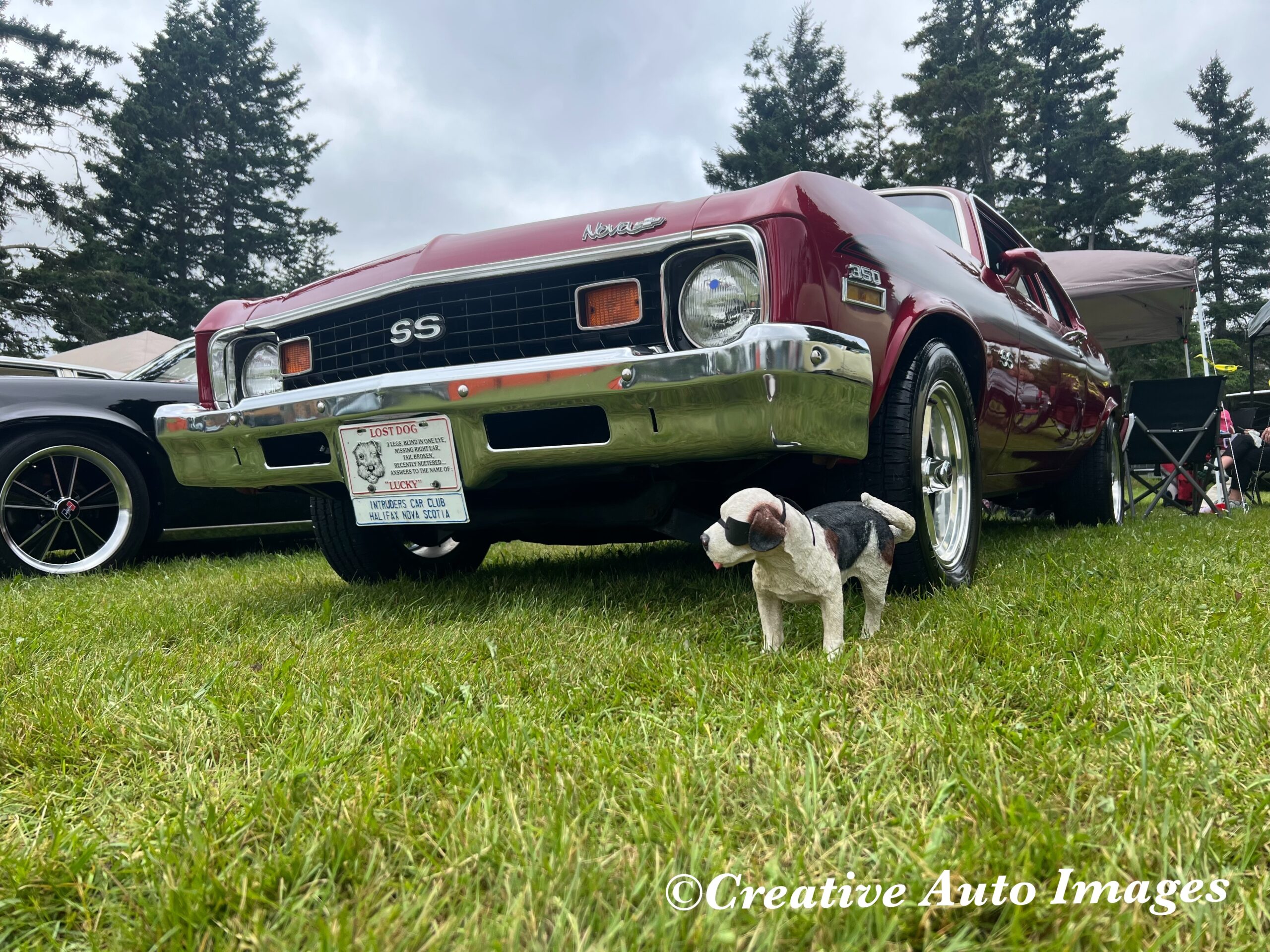 2026 Show ‘N Shine